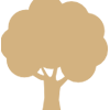DIREITO AMBIENTAL DIREITO AMBIENTAL